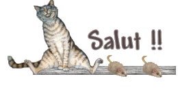 SLT TOUT LE MONDE